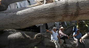 Reportan 6 muertos en accidentes por el huracán Patricia