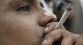 PRD-DF da bienvenida a debate sobre legalización de marihuana