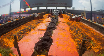 Abre sus puertas Megaofrenda de la UNAM