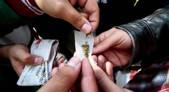 Marihuana recreativa, a detalle
