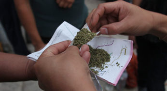 Marihuana y salud