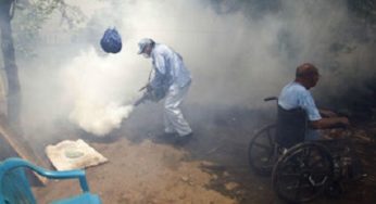 Chikungunya, zika, ébola y dengue marcan el 2015 en temas de salud
