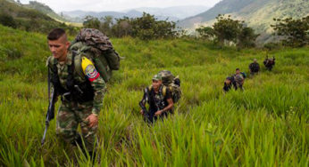 EU considera inapropiado excluir a las FARC de terroristas