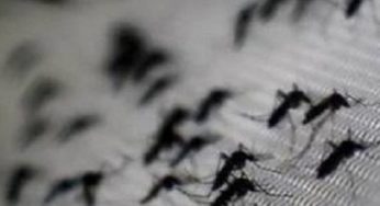 Investigan relación de ecología y epidemias