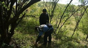 Hallan 50 huesos humanos en Iguala; habrían sido incinerados