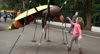 Zika, el virus que frena a los atletas ante Río 2016