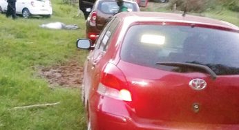 Capturan a 7 presuntos asesinos de Alto Lucero en Veracruz