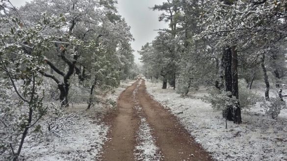 Caos en el noreste del país por nevadas