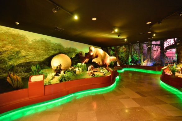 Reabren Museo de Historia Natural; destaca el Gobernador Núñez la recuperación de éste inmueble