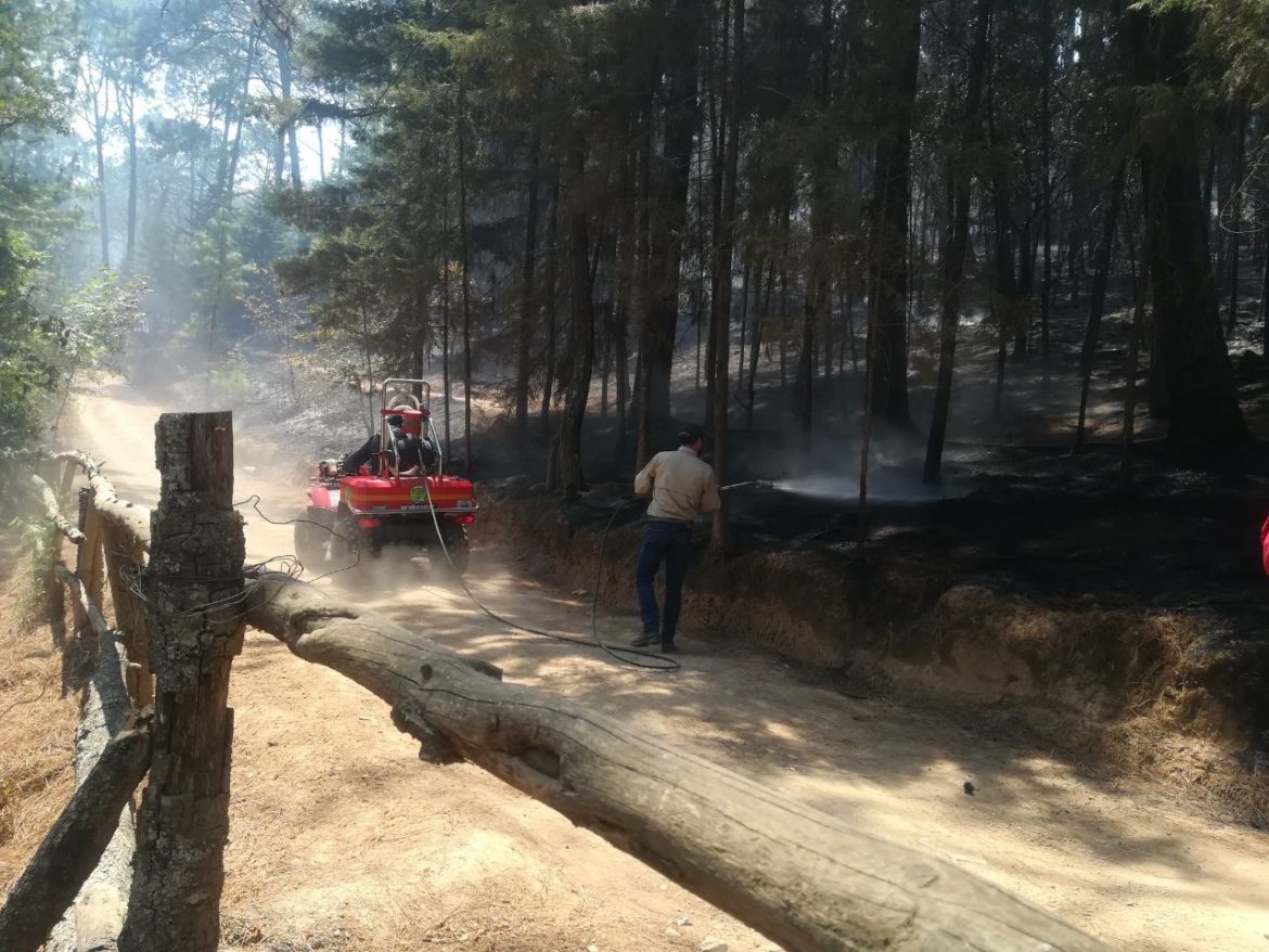 Informa Secretaría Del Medio Ambiente Que Incendio En Valle De Bravo ...