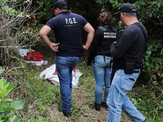 Zetas y CJNG los principales culpables de las FOSAS en Veracruz. Noticias en tiempo real
