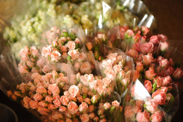 Inundan a los enamorados con flores mexiquenses para celebrar este 14 de febrero