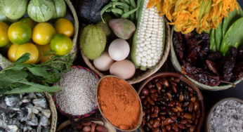 Alertan por la pérdida de agrobiodiversidad en el campo mexicano